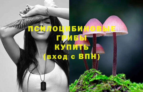мдпв Пестово
