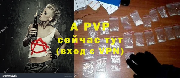 ECSTASY Абаза